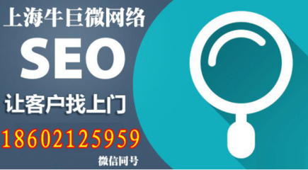 新網站SEO優化無從入手,上海牛巨微網絡科技有限公司帶你實現從無到有